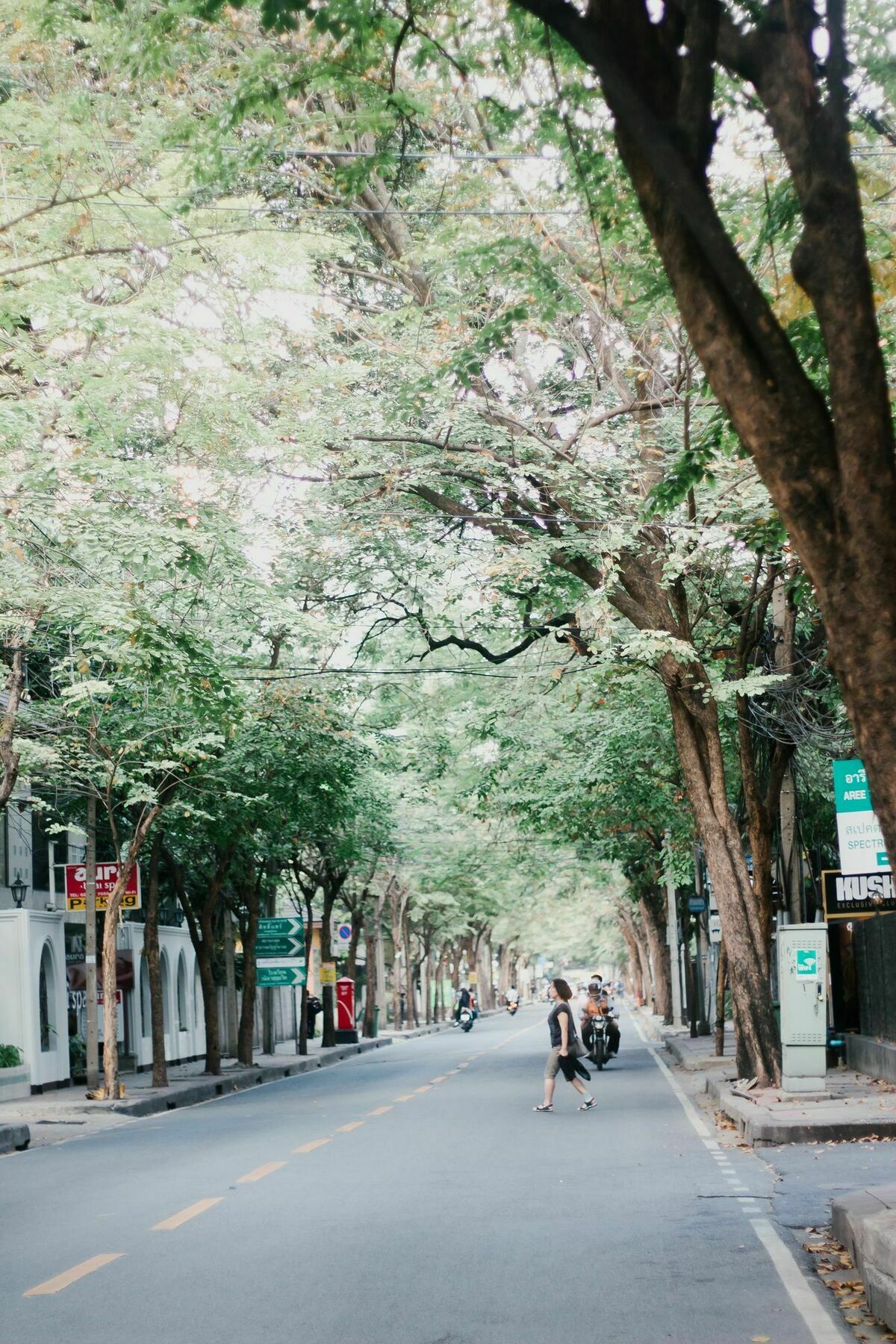 Weeping Willow Sukhumvit 26 曼谷 外观 照片